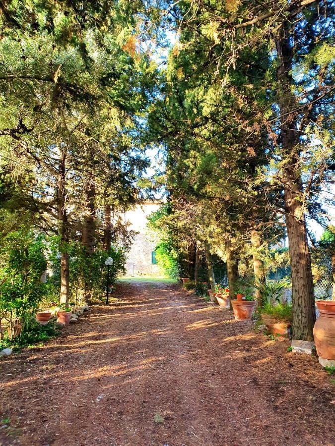 Bed and breakfast Residenza Santa Maria In Borraccia Magliano in Toscana