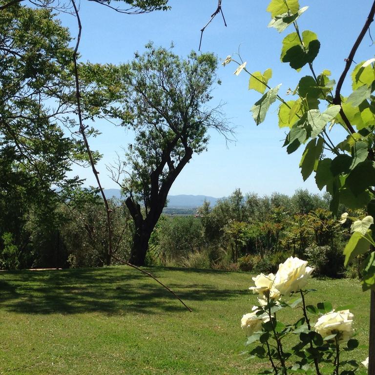 Residenza Santa Maria In Borraccia Magliano in Toscana
