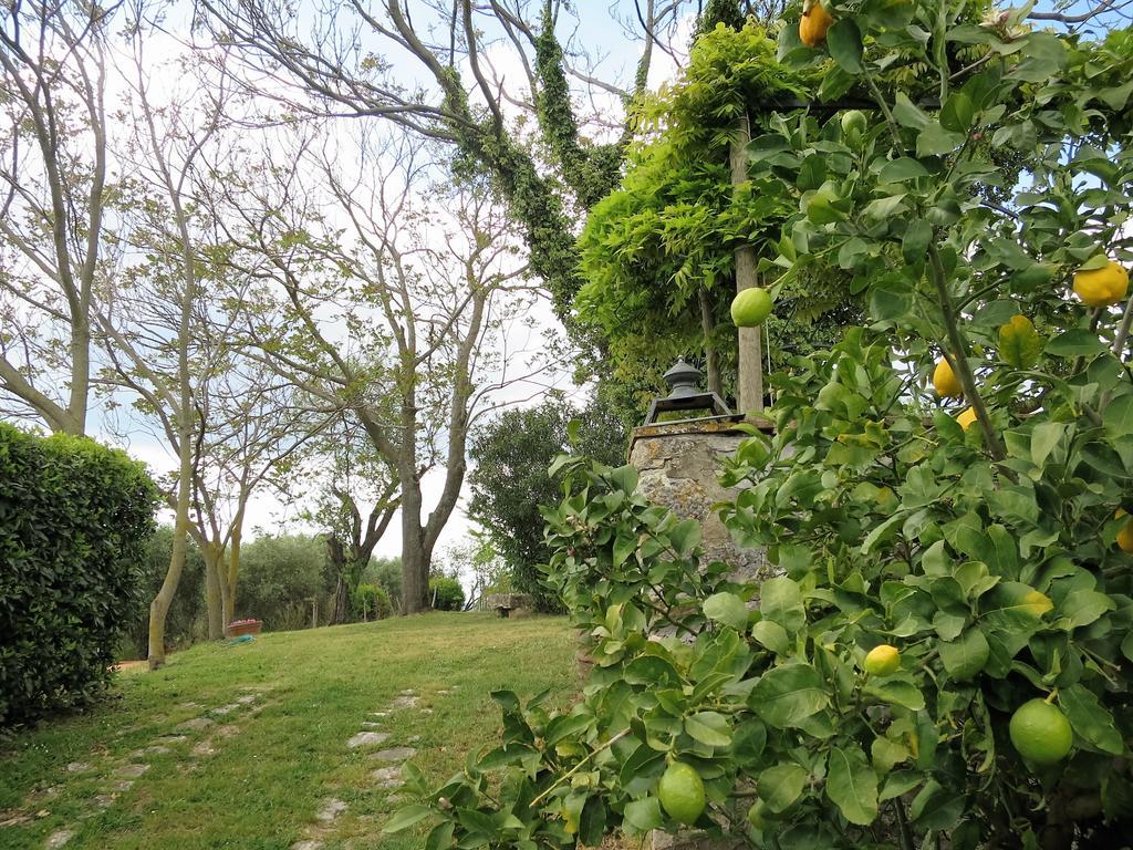 Bed and breakfast Residenza Santa Maria In Borraccia *