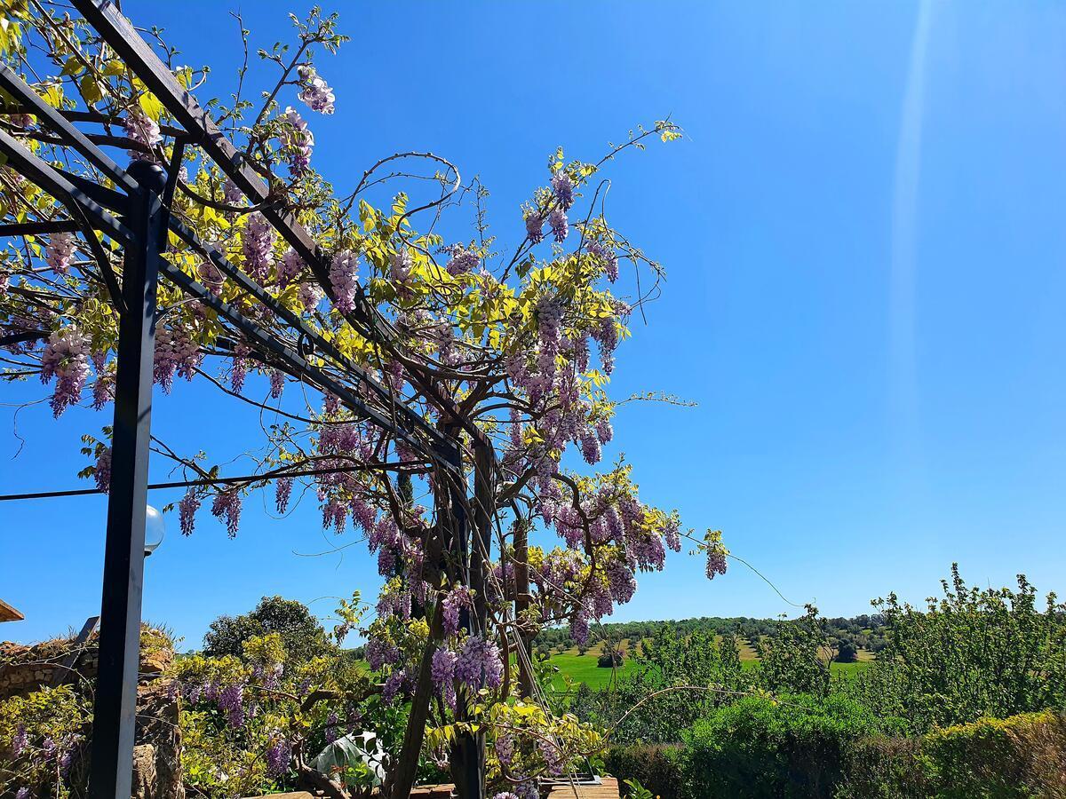 Residenza Santa Maria In Borraccia Magliano in Toscana