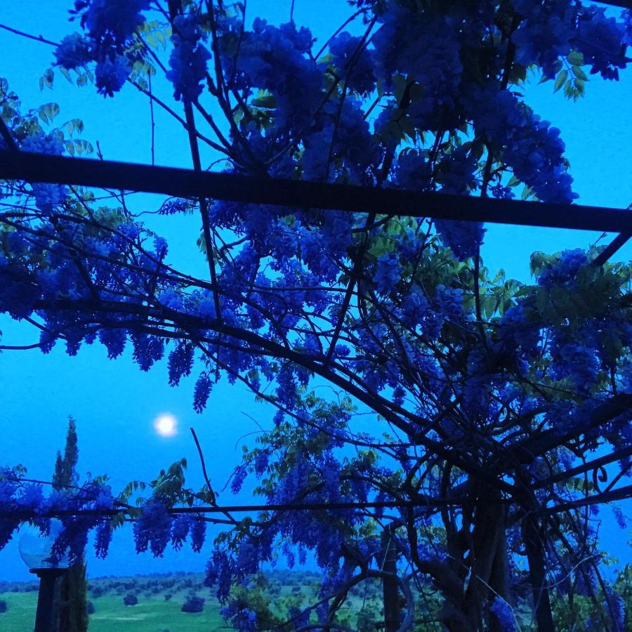 Residenza Santa Maria In Borraccia Bed & Breakfast *