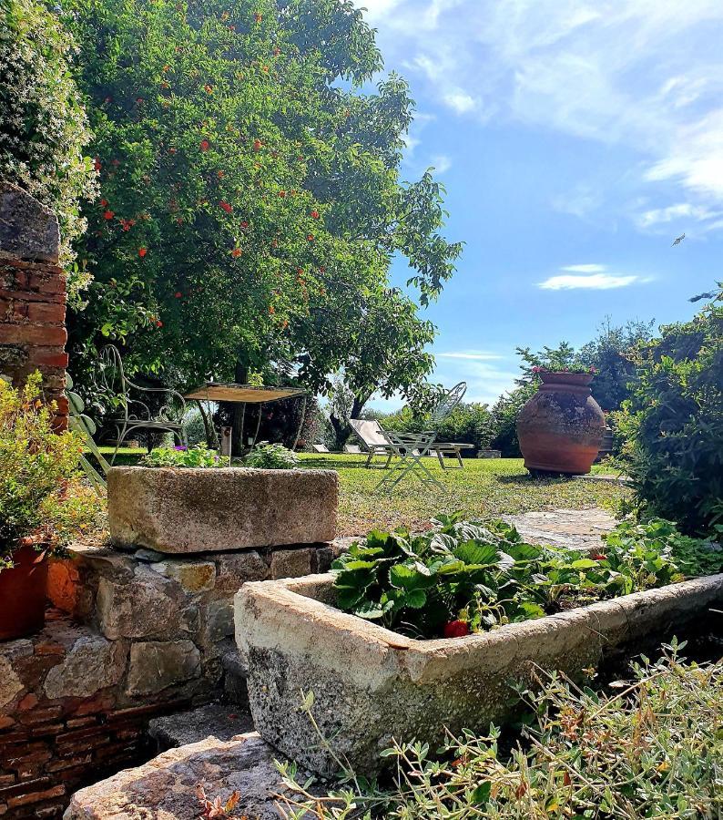 Residenza Santa Maria In Borraccia Bed and breakfast Magliano in Toscana